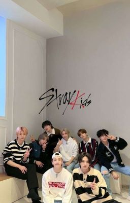 Stray kids&dream
