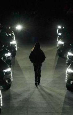 известная|V.H