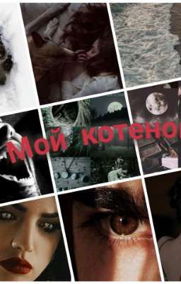 мой котенок 