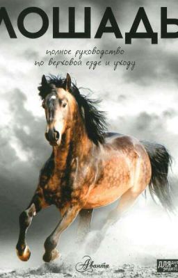 Лошадь 