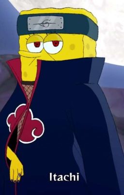 Жизнь Акацуки