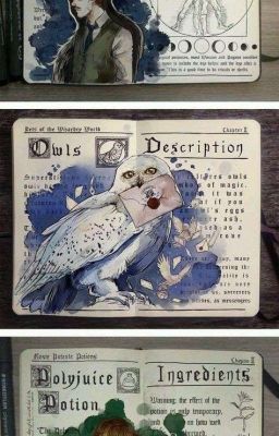 Гарри Поттер  Начало Конца