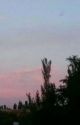 жизнь в розовых тонах... 