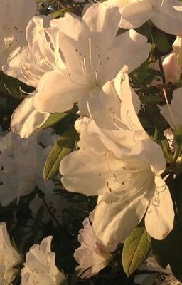 Любовь живет 3 года ...