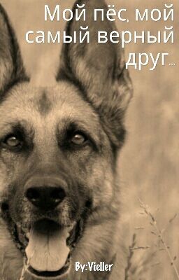 Мой пёс, мой самый верный друг...