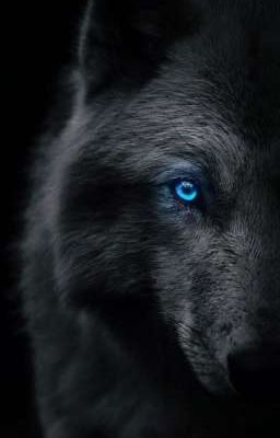 Из рук монстра В лапы спасителя 