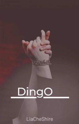 Dingo