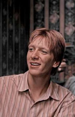 миллион стратегий семьи Уизли 