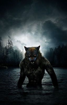 Малышка для Алфы