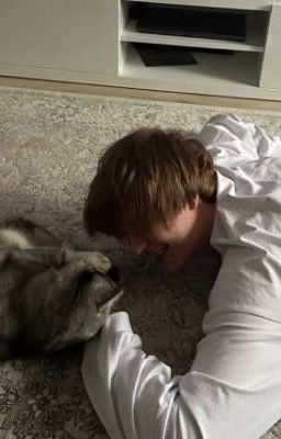 Значит сводный?