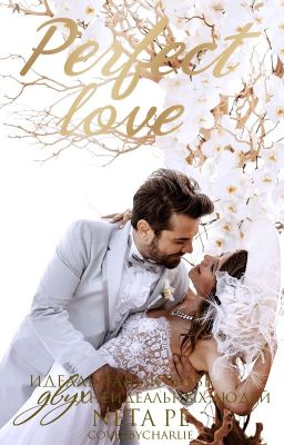 Идеальная любовь