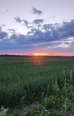 Закатное солнце