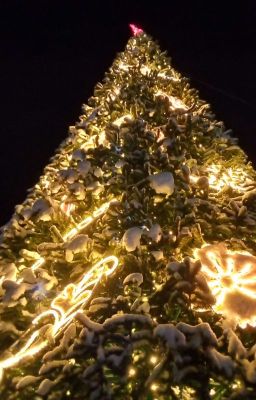 Борись Или Умри [ЗАВЕРШЁН]