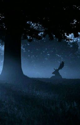 За гранью возможного