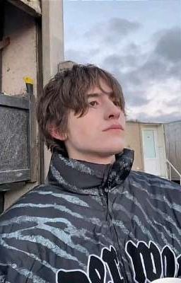 она занята | киса