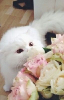 .•°Бунтарка°•.