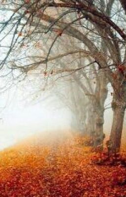  Про Вампиров.