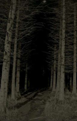 The girl who feels it