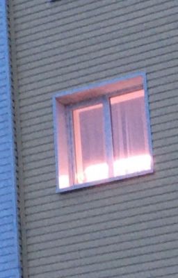 Укус моего хозяйна