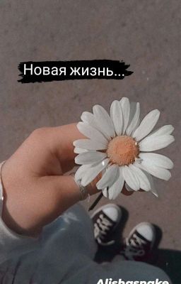 Новая жизнь....