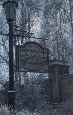 Жизнь в Хогвартсе