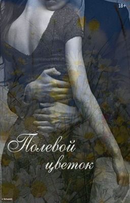 Полевой цветок  (18+) {РЕДАКТИРУЕТСЯ}