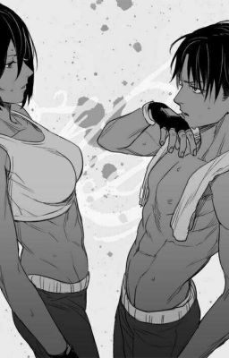 Если бы Леви и Микаса были парой 