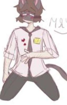 Детектив Войд кот В смысле 