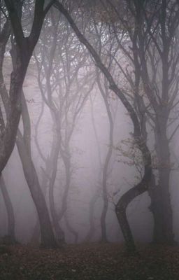 Неизвестный