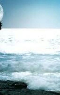 Переписка в вк