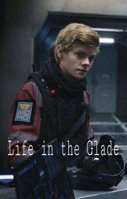 Life in the Glade // Жизнь в Глейде 