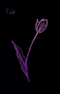 {®Приступы прошлого©}