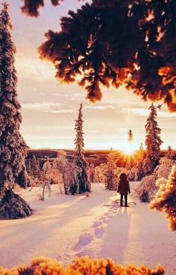 я тебя никогда не забуду .