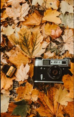 Осколки прошлого