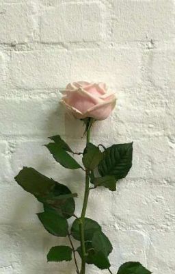 Я Буду Идеалом