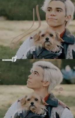 Очень разные, но вместе