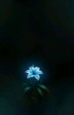 Цветок Сумерек