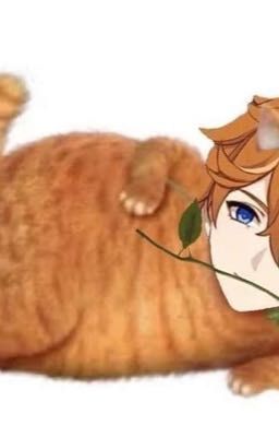 Как тарталетка стал котэ 💔💔