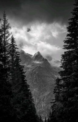 Приключения после смерти 