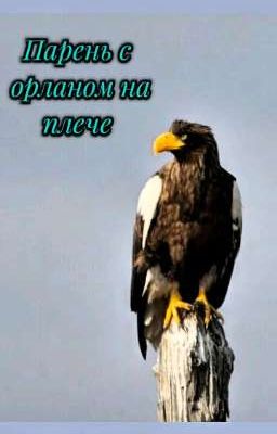 Парень с орланом на плече 