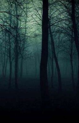 Не сворачивай с тропы