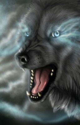 Академия оборотней