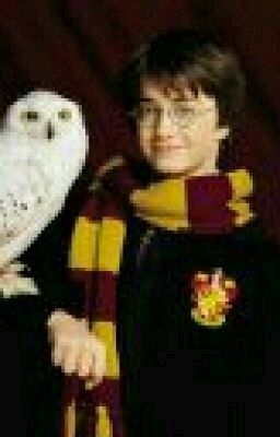 Гарри Поттер и что было после