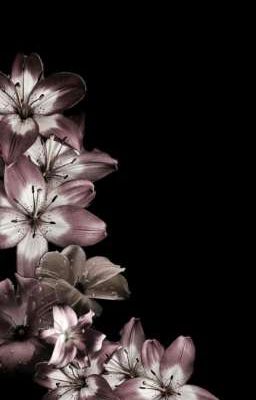 ФАЛЬШИВАЯ ЛЮБОВЬ