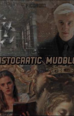 Aristocratic mudblood 