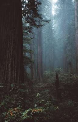 Вот и окончен роман