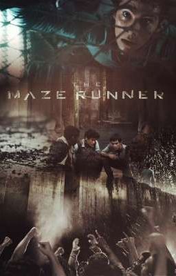 Бегущий в лаберинте