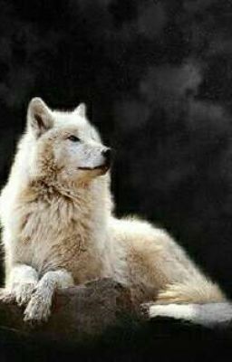 История одной Волчицы