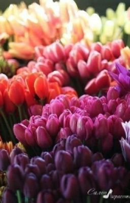 психология о разном