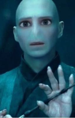 Гарри уборщица 